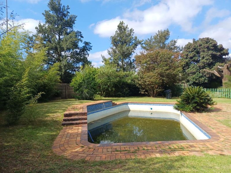 Springs,4 Bedroom with flatlet,pool,massive erf - Photo 5