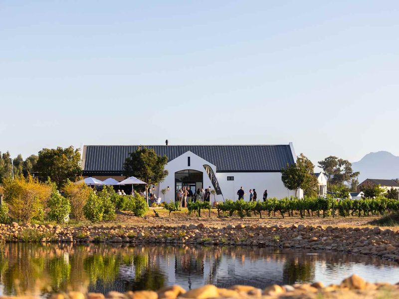 Exceptional Five-Bedroom Lakeside Home on Paarl Valleij Lifestyle Estate & Farm - Photo 4