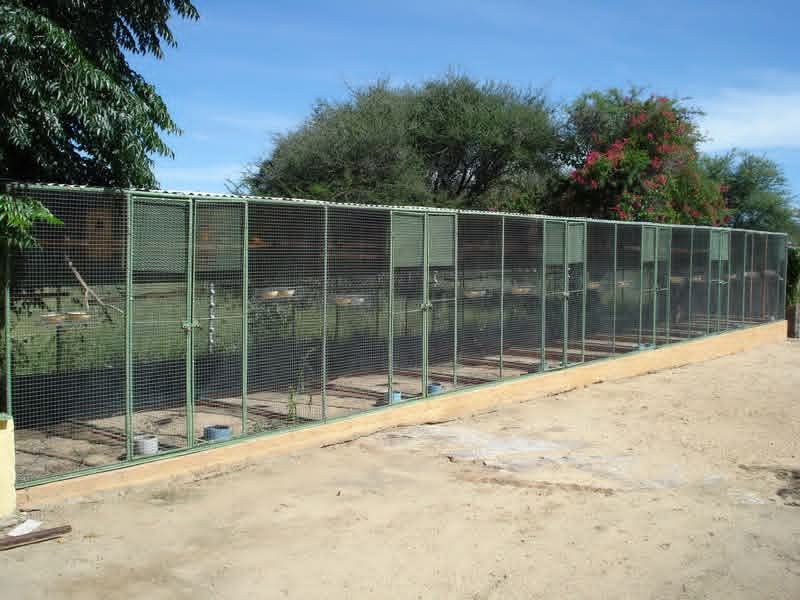 This smallholding is ideal for those seeking a blend of farming potential and a warm family lifestyle in the heart of Omaruru's natural beauty.✨️ - Photo 8