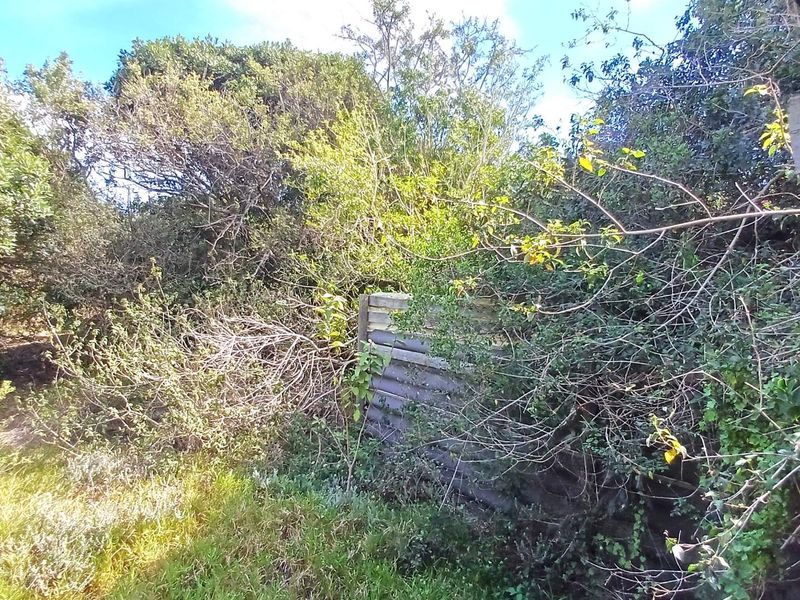 1195sqm vacant stand with established biogas digester and 2 rain water tanks - Photo 7