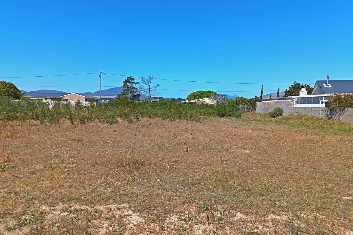 Great Property -Going for a Song - Photo 4