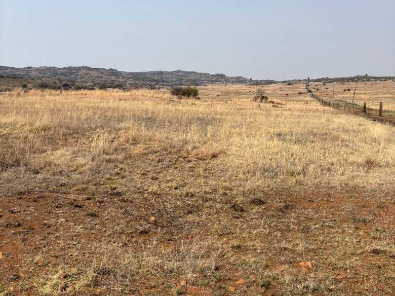 UNDEVELOPED FARM FOR SALE - Photo 2