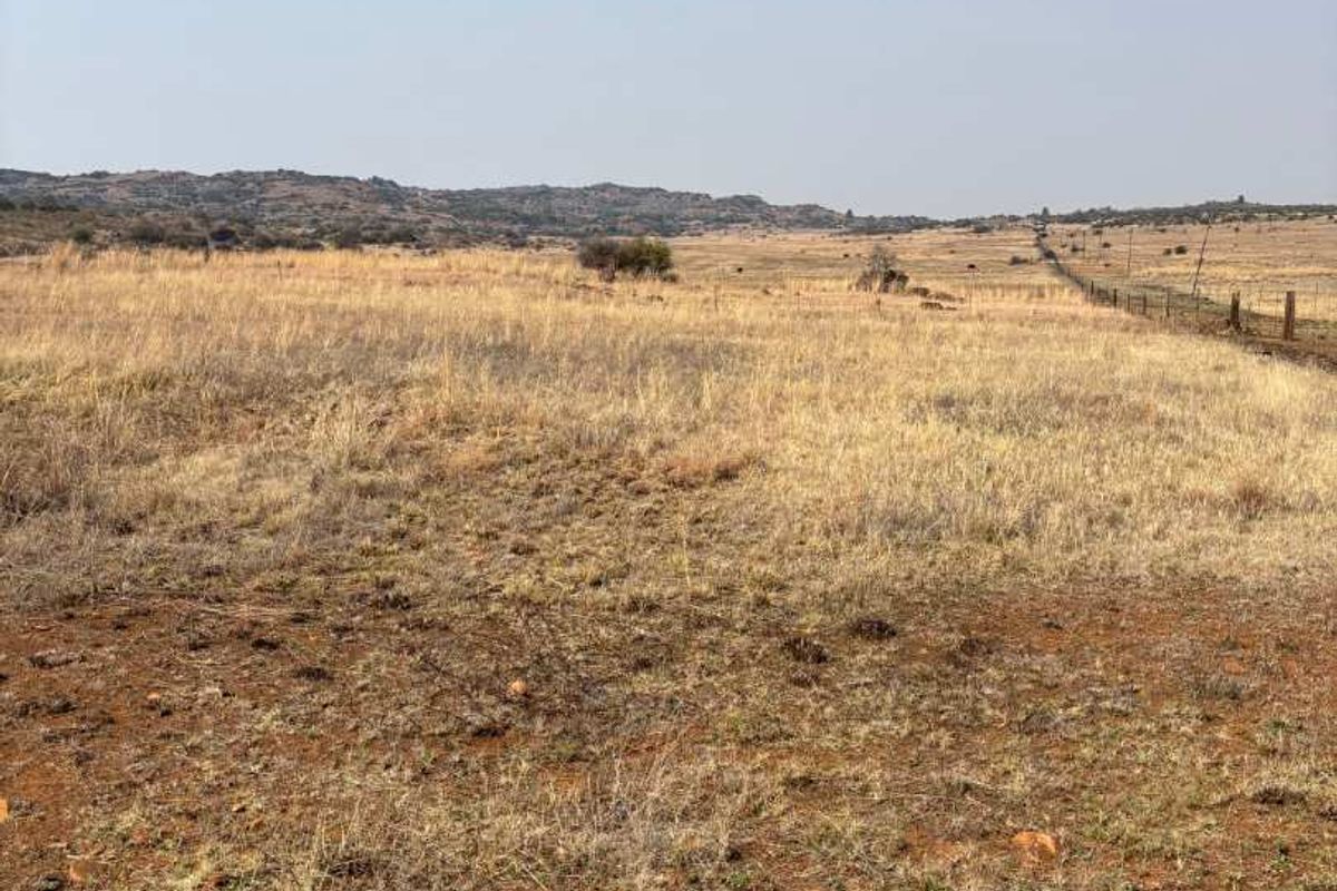 UNDEVELOPED FARM FOR SALE - Photo 2