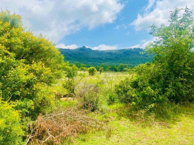 Vacant site for sale - Photo 2