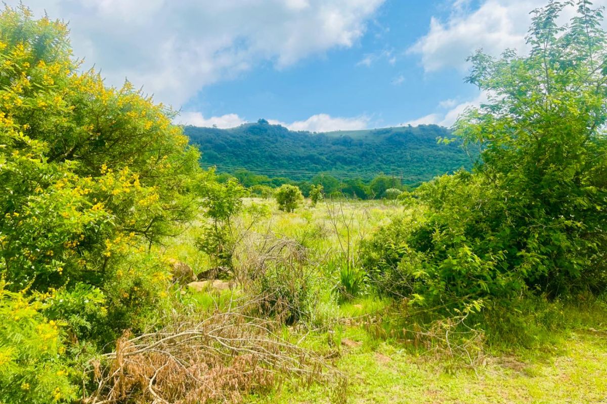 Vacant site for sale - Photo 2