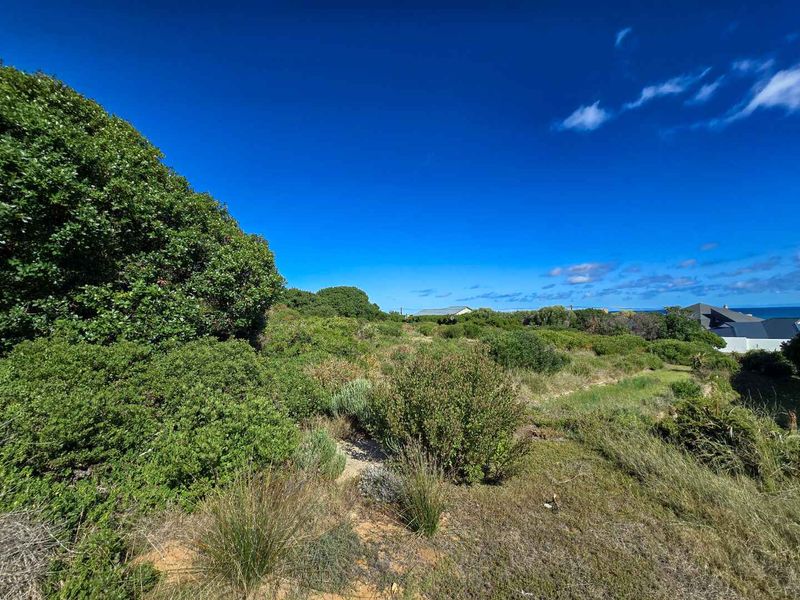 Prime vacant stand with permanent unobstructed views - Photo 8