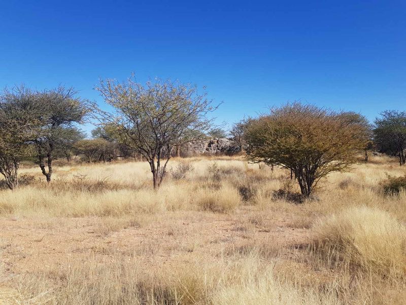 Most beautiful setting in Camelthorn Estate Okahandja - Photo 8