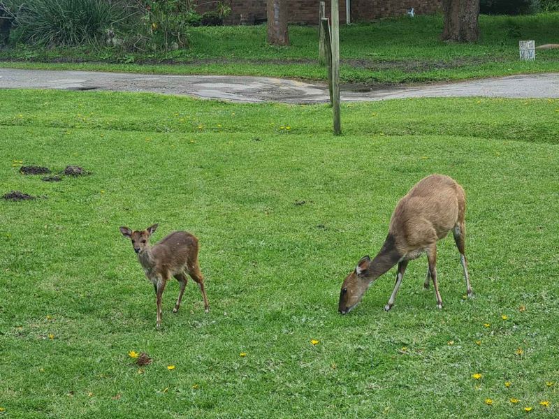 Three bedroom retreat in nature’s paradise - Photo 3