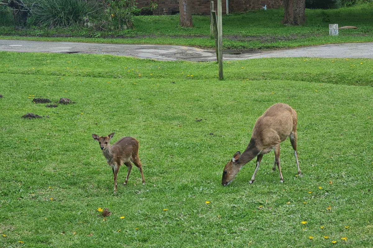 Three bedroom retreat in nature’s paradise - Photo 3