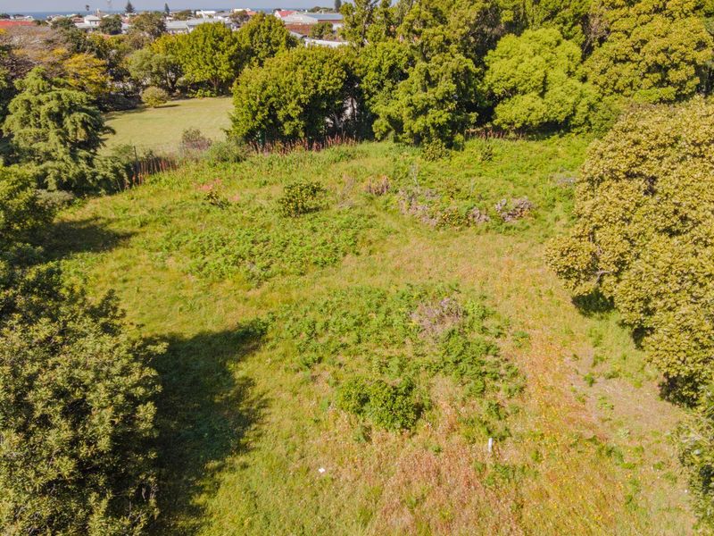 Mountain Avenue 977 sqm Vacant Stand in Kleinmond - Photo 6