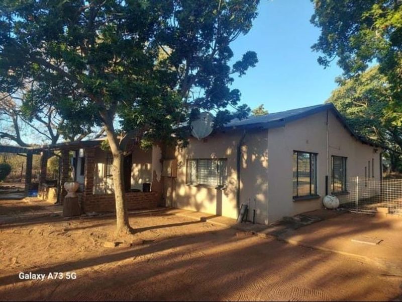 Front view of a single-story house featuring a metal roof, brick patio area, and security bars on the windows.