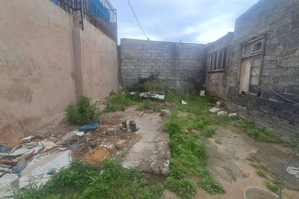 A rear exterior area featuring concrete block boundary walls and a concrete slab, currently requiring significant clearing and maintenance.