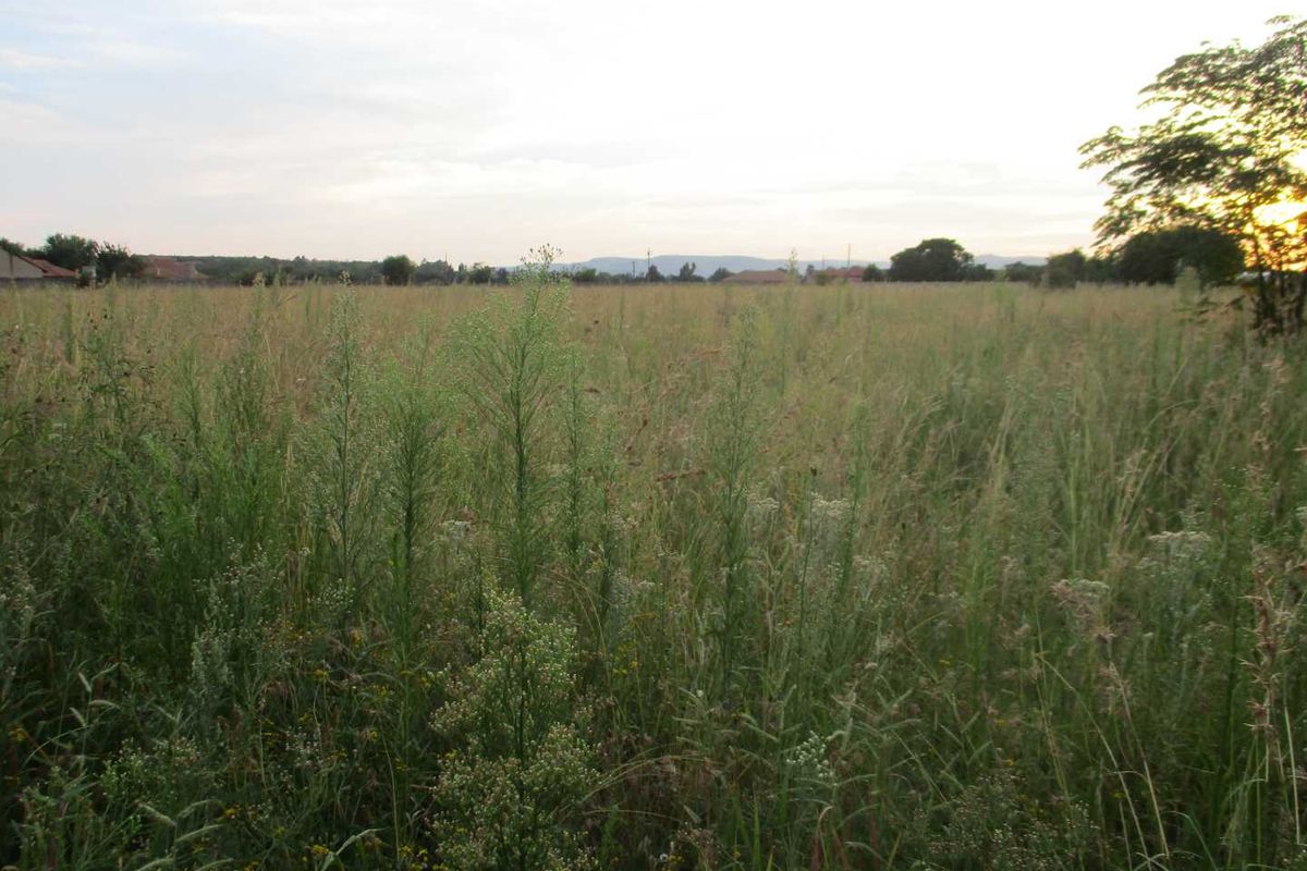 Calling all Developers - Photo 4