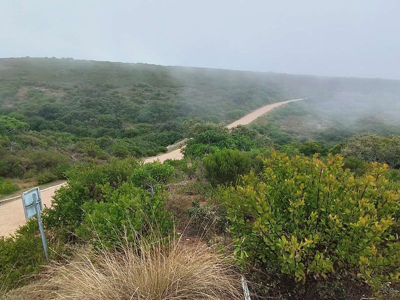 Exclusive Oppertunity - 1813m2 Vacant Land in Paradise Coast Eco Estate - Photo 6