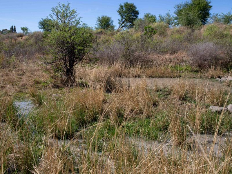 Vacant Land with Dam Views – Weltevrede Dam, Koppies - Photo 5