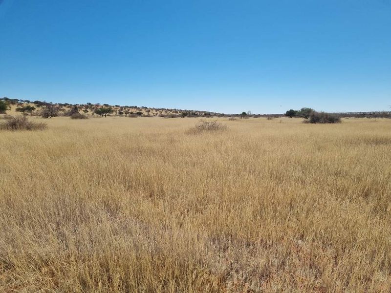 GORGEOUS CATTLE / SHEEP / GAME FARM FOR SALE IN STAMPRIET - Photo 5