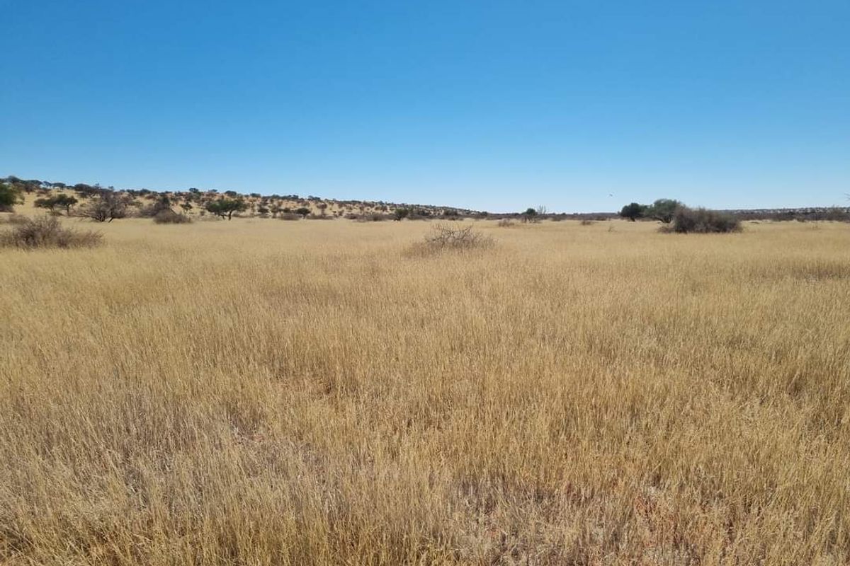 GORGEOUS CATTLE / SHEEP / GAME FARM FOR SALE IN STAMPRIET - Photo 5