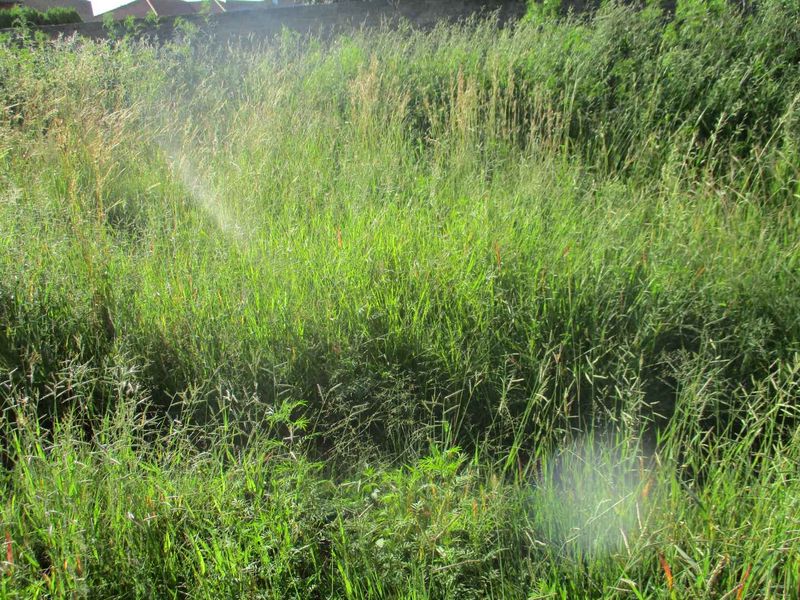 PRIME LAND AND LOCATION ! - Photo 6