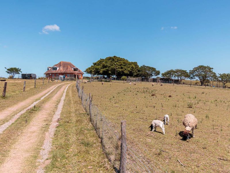 WHERE TOWN MEETS TRANQUILITY - BEAUTIFUL VIEWS - Photo 3