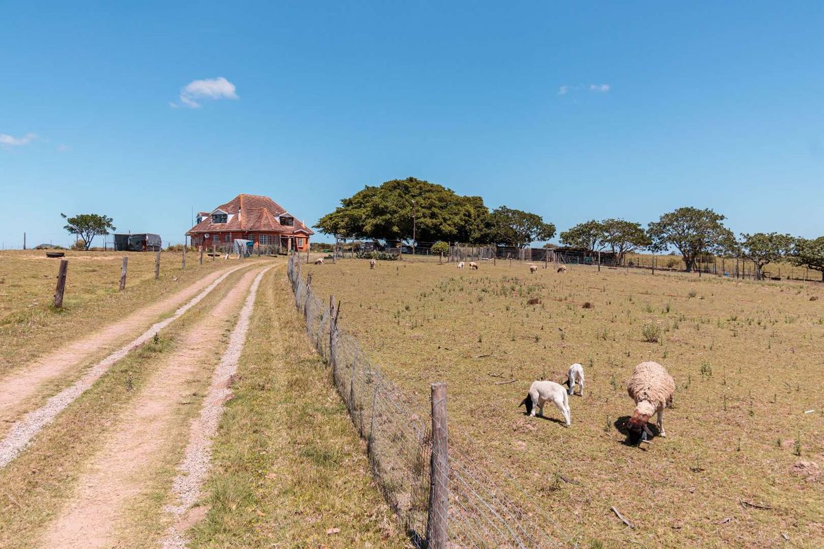 WHERE TOWN MEETS TRANQUILITY - BEAUTIFUL VIEWS - Photo 3