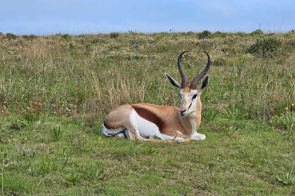 739m2 Vacant Stand For Sale in Hartland Estate - Exclusive Opportunity - Photo 2