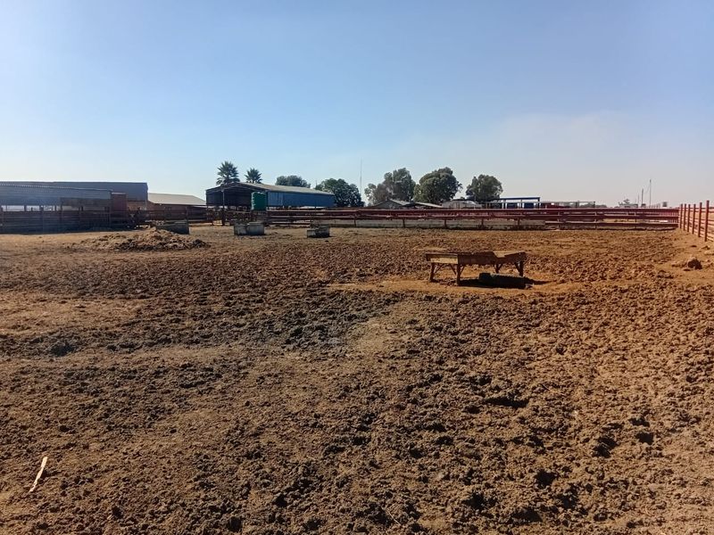 Kraal & Grazing Land to Rent – Withok Estate, Brakpan - Photo 2