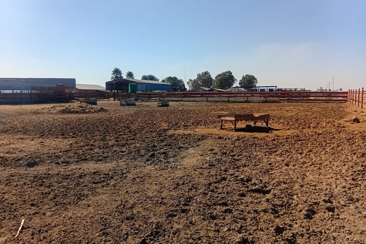 Kraal & Grazing Land to Rent – Withok Estate, Brakpan - Photo 2