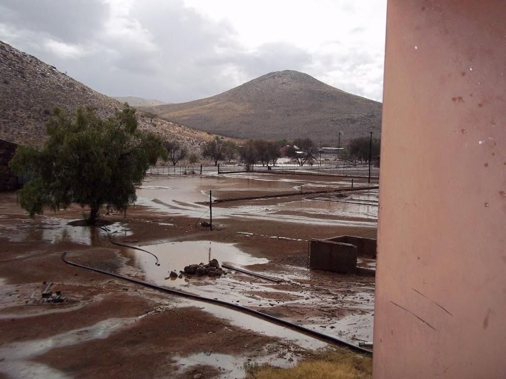 Rainwater after a lovely rain storm