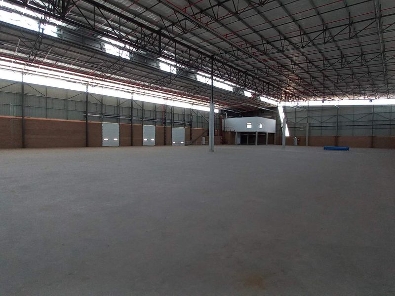 A spacious, open-plan industrial warehouse featuring high ceilings with exposed steel trusses, concrete flooring, and multiple roller shutter doors for efficient logistics access.