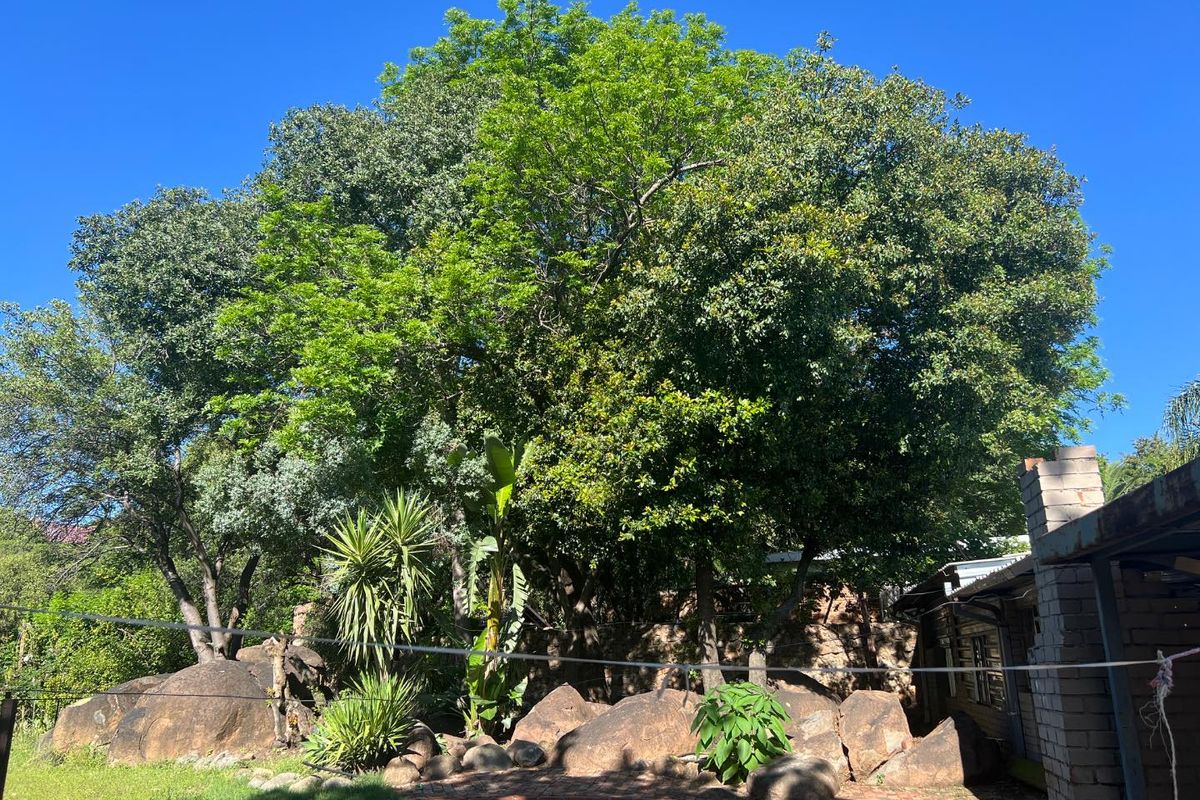 Your perfect rental awaits. - Photo 5