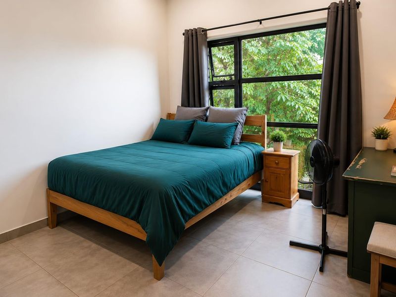 Modern 3 bedroom,2 bathroom House to Let - Photo 6