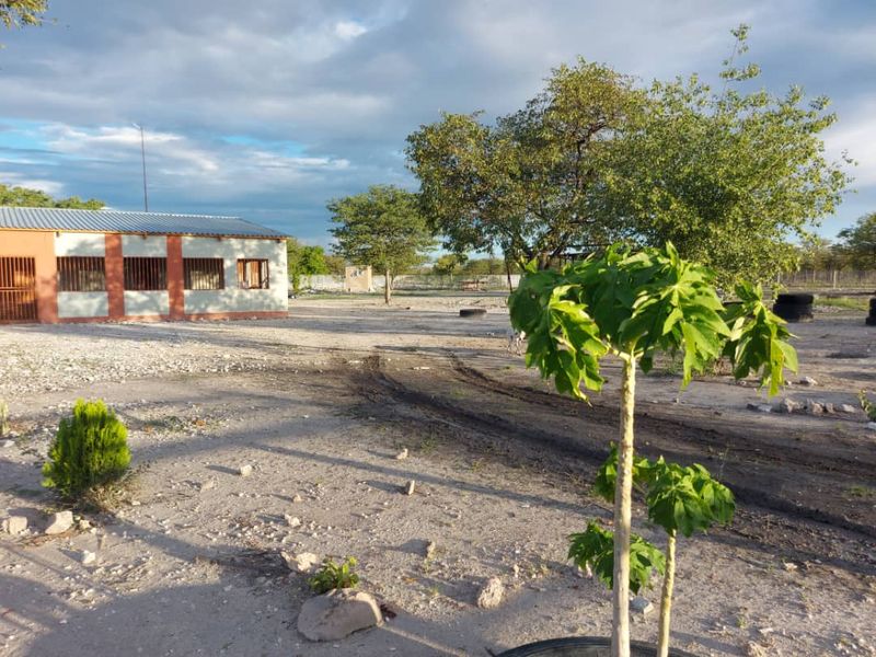 Prime Farm with Business Opportunities - For Sale - Photo 10