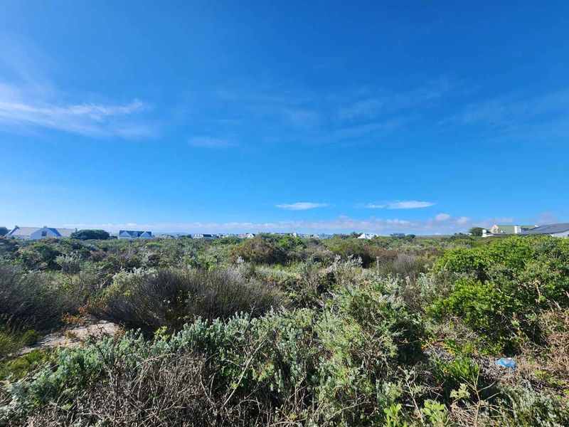 A view of a vacant residential plot covered in native coastal vegetation with surrounding neighborhood homes visible in the distance.