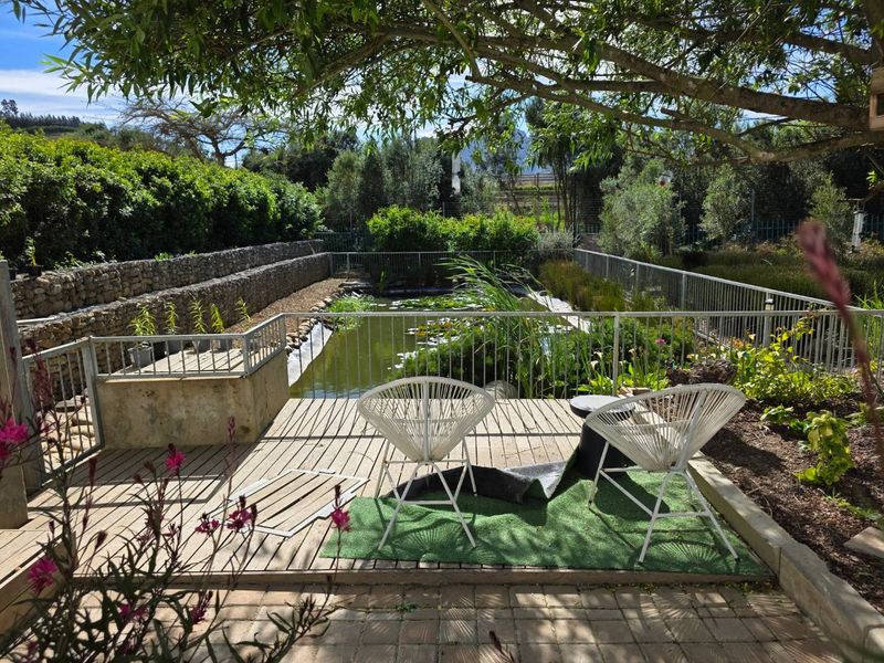 Outdoor entertainment area featuring timber decking, metal safety fencing, and a landscaped pond with stone retaining walls.