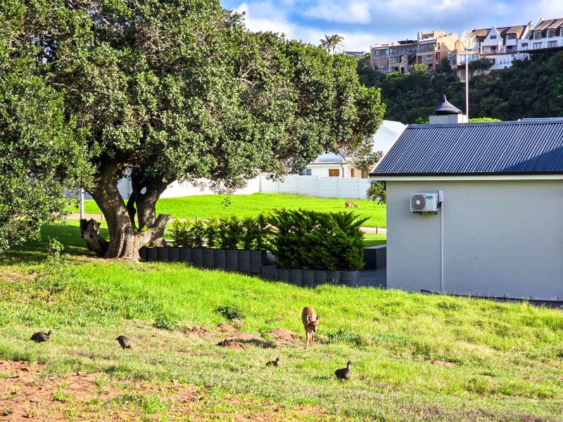 Vacant land for sale in Stilbaai Wes. - Photo 9