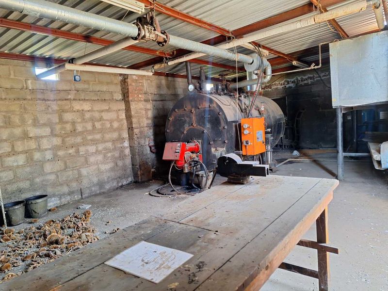 WHOPPERTUNITY ! - Photo 7