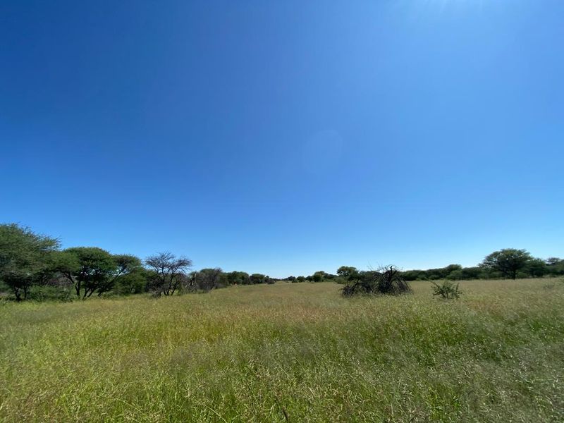 217 Hectares of Peaceful Living - Photo 4