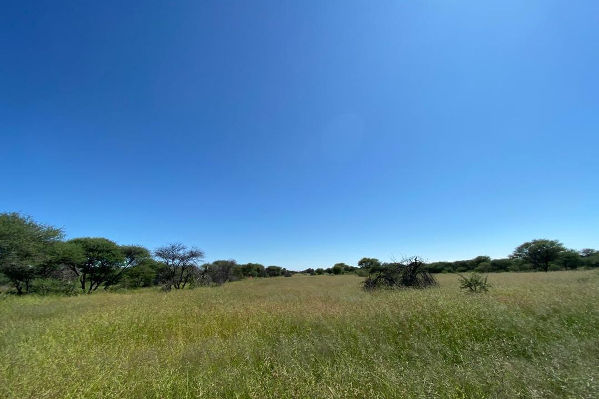 217 Hectares of Peaceful Living - Photo 4