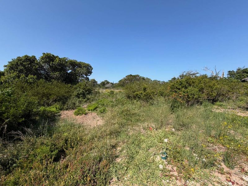 A view of the vacant residential land featuring natural indigenous vegetation and established shrubs across the property grounds.