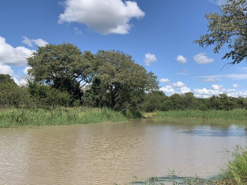 A scenic view of a natural pond surrounded by mature trees and lush vegetation on the residential property.