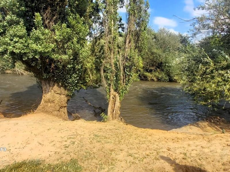 Small holding with lock up storage 3 bedroom house 2 flatlets - Photo 3