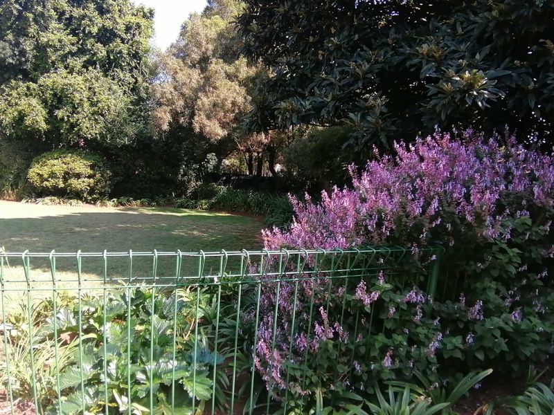 Fabulous spacious well maintained home in secure village - Photo 7