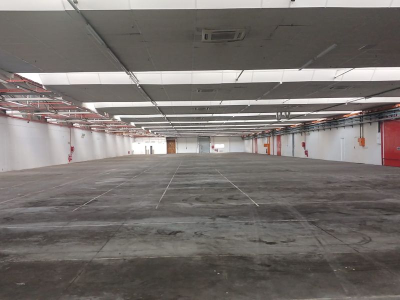Expansive industrial warehouse space featuring high ceilings with exposed steel trusses, concrete flooring, and integrated fire safety systems.