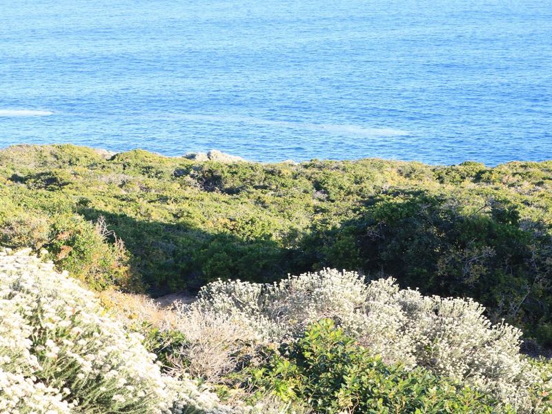 Vacant Land for sale in Pinnacle Point Golf Estate - Photo 9