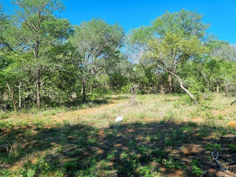 Exceptional Double Stand in Prime Riversdale Farm Location - Photo 2