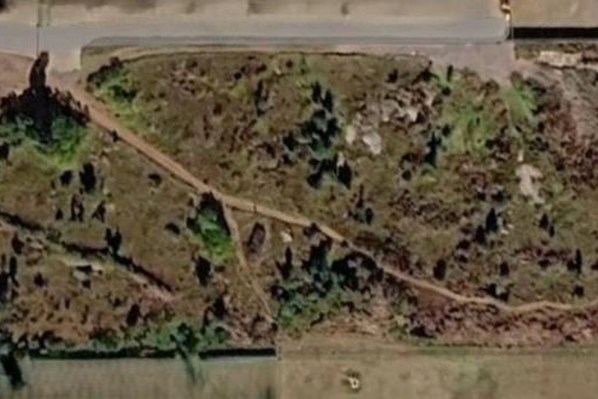 Aerial view of a vacant commercial land plot featuring natural vegetation and an unpaved access path.