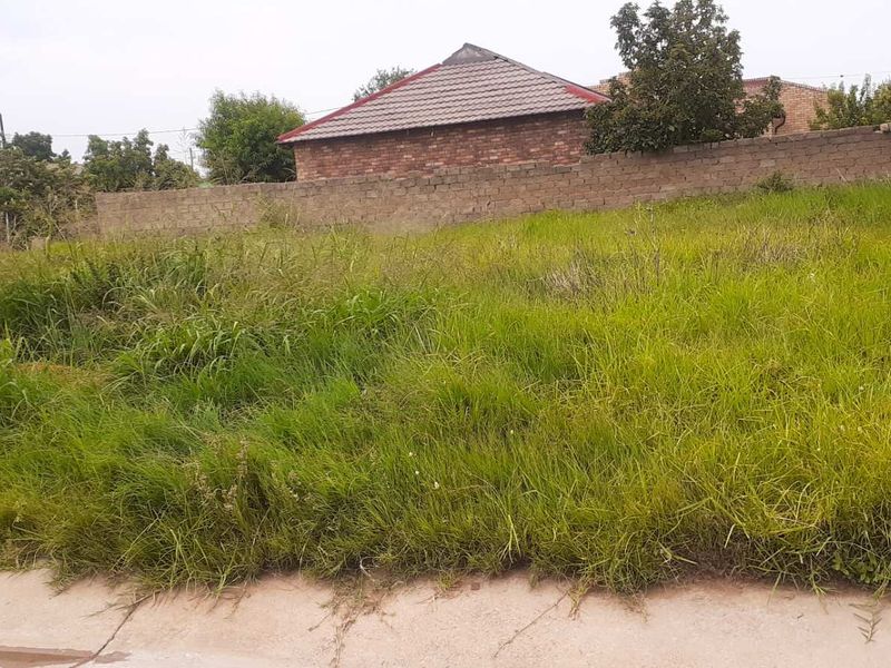 HUGE VACANT LAND FOR SALE - Photo 6