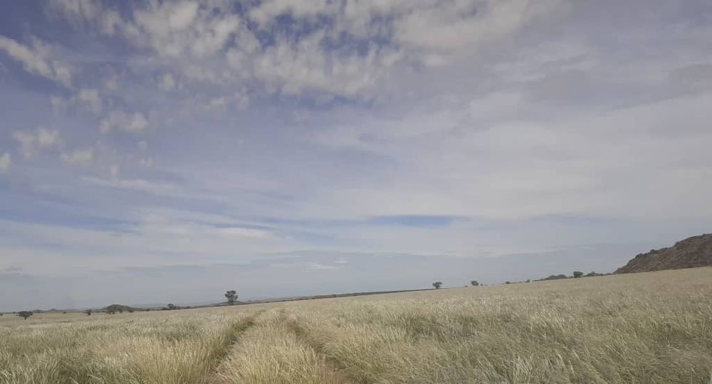 View of the field after the rain. 