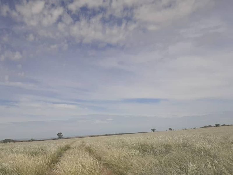 FOR SALE- FARM IN KEETMANSHOOP, NAMIBIA - Photo 3