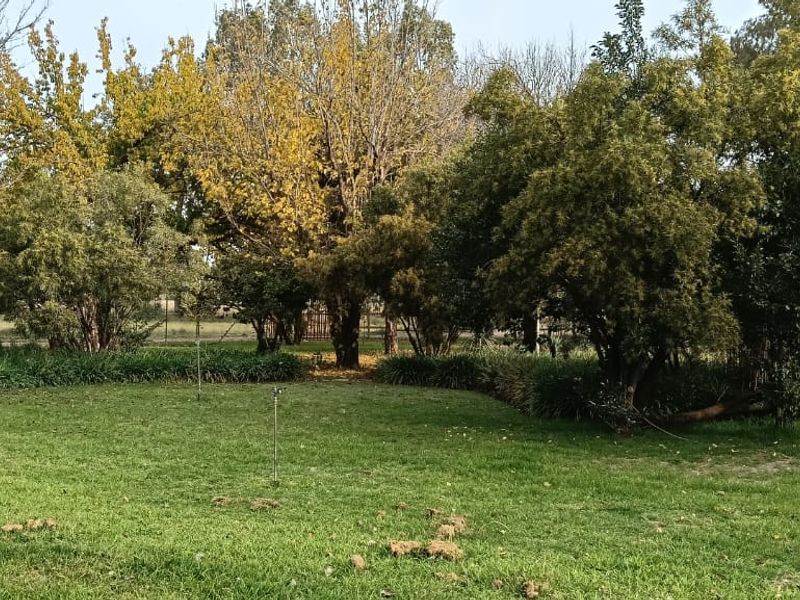 TOTALY OFF GRIDD SMALL FARM. RENTAL INCOME.  ENDLESS POTENTIAL. - Photo 3